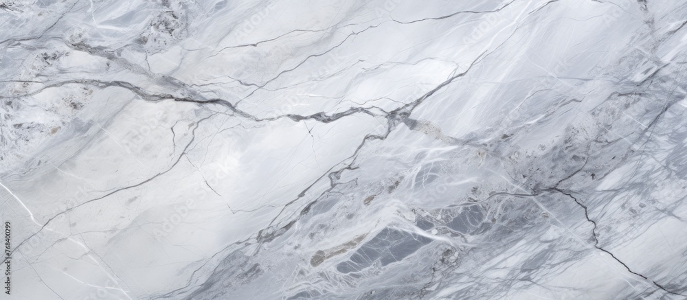 Poster a luxurious piece of marble showcasing a clean white color with a distinct and eye-catching black ve