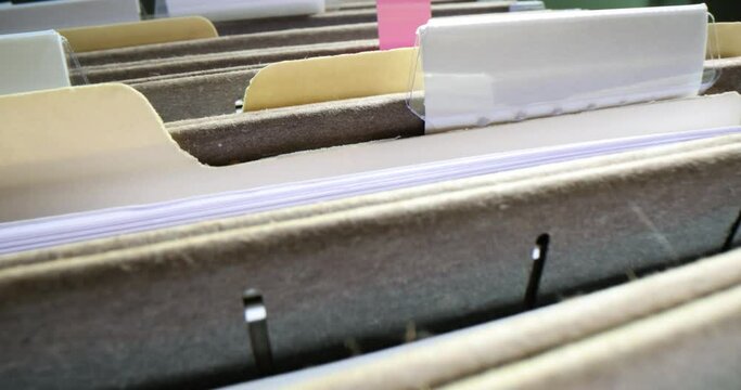 File organizer with meticulously arranged document folders