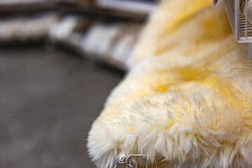 Colored textile in home-decor store,pillows,carpets,blankets,different texture,soft and colorful textile design for adults and kids,home supply