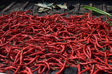 Naklejka premium bunch of red chilies