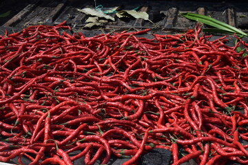 bunch of red chilies