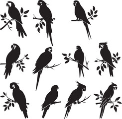 Set of black Silhouette Parrot on a branch