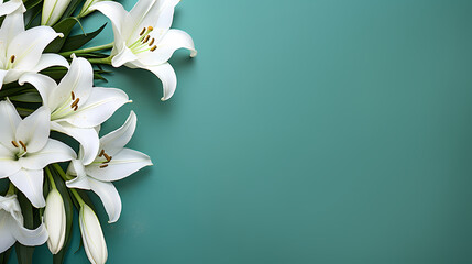 Lily flowers in bloom with ample space for text - obrazy, fototapety, plakaty