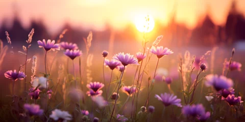 Foto op Canvas field of flowers, Nature floral background in early summer, Colorful natural spring landscape with with flowers, soft selective focus, Generative AI  © shabnam