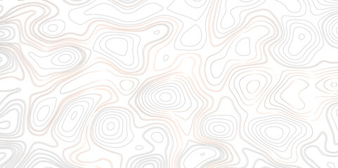 Abstract background with a topography landscape design. Topographic map background Grid map Contour Vector illustration