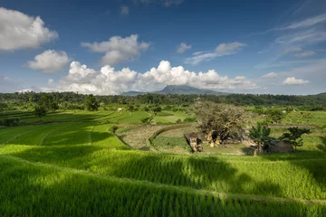 Fotobehang Scenic Maha Ganga paddy ricefiled terraces in rural part of Bali island, Karangasem district on a sunny day © Vladimir