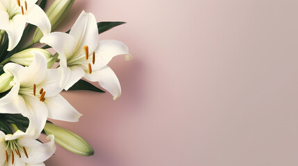Lily flowers in bloom with ample space for text