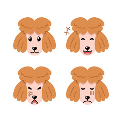 Set of character cute poodle dog faces showing different emotions for design.