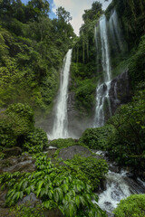 Famous scenic Sekumpul waterfall flowing in the majestic alley of tropical forest of Buleleng province, Bali island