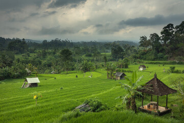 Scenic Sidemen village paddy rice terraces in rural part of Bali island, Karangasem district on a cloudy day