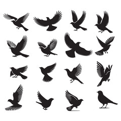 set of birds silhouettes on white
