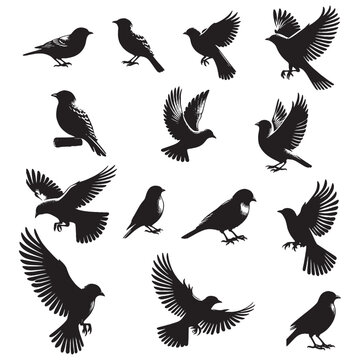 set of birds silhouettes on white