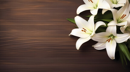 Top view of beautiful lilies blooming on plain background