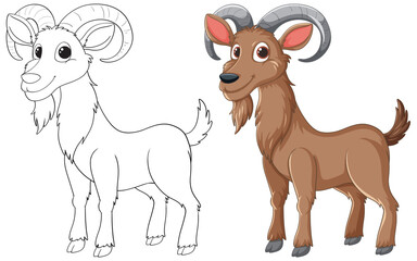 Vector illustration of a ram, outlined and colored