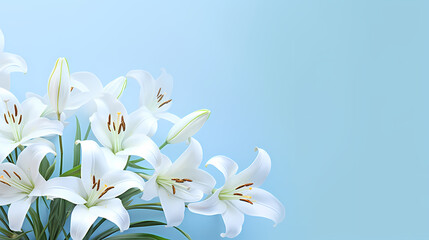 Fototapeta na wymiar Lily flowers on pastel background