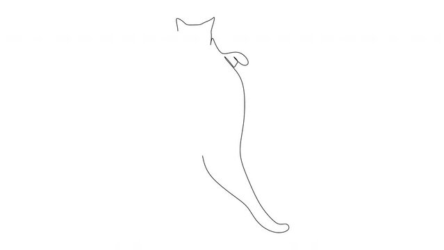 Continuous linear drawing of a cat