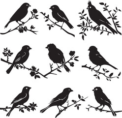 Silhouette of Sparrow birds on the branch white background	
