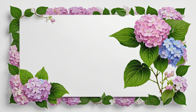 cascading hydrangea blooms as a frame border, isolated with negative space for layouts colorful background
