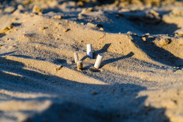 White cigarette butts in sand at the beach