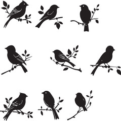 Fototapeta premium Set of Bird on a Tree branch black silhouette