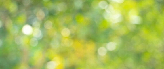 spring green bokeh background