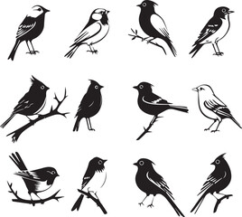 Black silhouette birds on white background	
