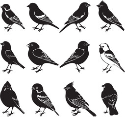 Black silhouette birds on white background	
