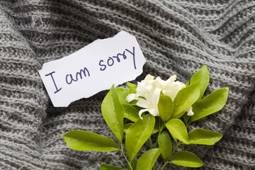i am sorry message card handwriting with jasmine flowers on knitting wool scarf arrangement flat...