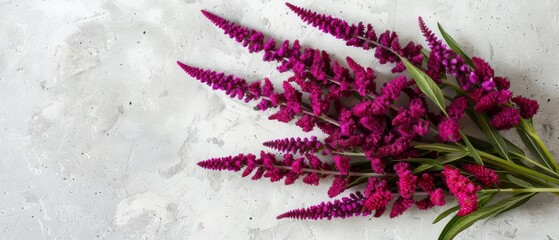   A collection of purplish blossoms resting on a white countertop alongside an emerald green foliage plant atop a white background