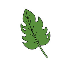 A green leaf with a hole in the middle. The leaf is drawn in a cartoon style