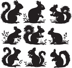 Vector squirrels set silhouette Black and white icon on white background
