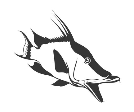 Hogfish Logo Decal. A unique and Fresh Hog fish lineart. great to use as your fishing activity.
