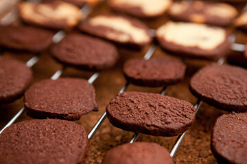 Chocolate Cookies.  Freshly baked swirl cookies with a delightful contrast of chocolate and vanilla flavors