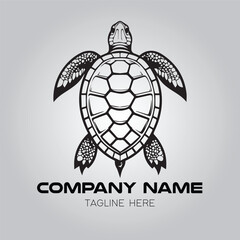 Turtle logo company design vector image on the white background