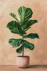Painting of Fiddle-leaf Fig plant in pot.