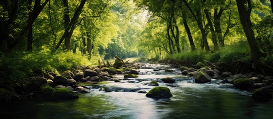 A serene river meanders peacefully through a vibrant green forest teeming with ancient rocks and boulders