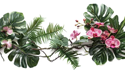 Foto op Canvas Tropical vibes plant bush floral arrangement with tropical leaves Monstera and fern and Vanda orchids tropical flower decor on tree branch liana vine plant isolated on white background.  © curek