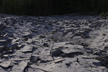dried soil
