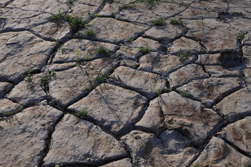 dry cracked earth