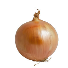 a whole Onion bulb isolated on transparent or white background. Whole golden onion bulb. Full depth of field. With clipping path.