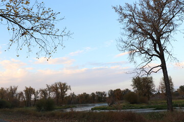 Obraz premium Beautiful Autumn Landscape