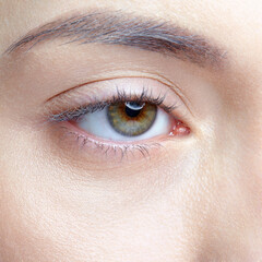 Fototapeta na wymiar Closeup macro shot of human female eye. Woman with nude makeup of eyes or no makeup.