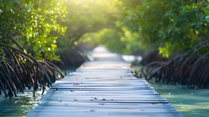 Cercles muraux Descente vers la plage A wooden boardwalk meandering through a dense tropical forest with lush leaves.