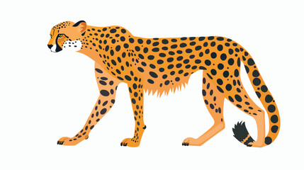 cheetah - isolated on white background flat vector 