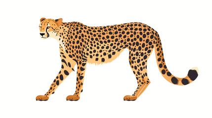 cheetah - isolated on white background flat vector 
