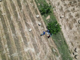 The countryside Vietnam style. Looking at farmland and rice fields in the regional area of Ba Ria Vietnam. Beautiful view of everyday life. 