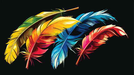 A bunch of colorful feathers that are on a black background