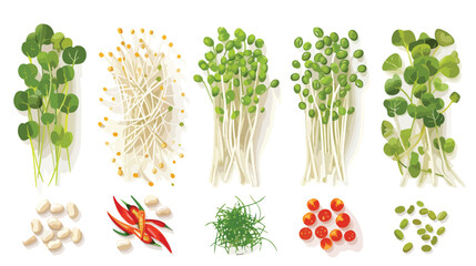 Bean Sprouts and fresh vegetable prepare for cooking - obrazy, fototapety, plakaty
