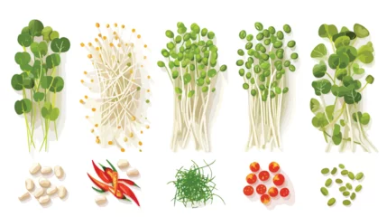 Poster Bean Sprouts and fresh vegetable prepare for cooking © Aina