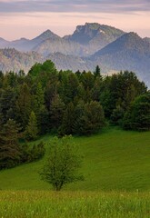 Green field and view of Trzy Korony, Pieniny Mountains Peak in Poland at Spring. Fresh green spring landscape, beautiful Poland © Ivan